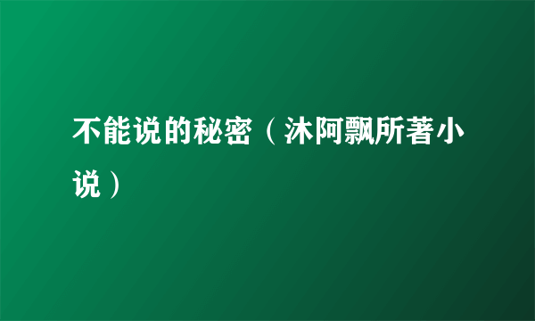 不能说的秘密（沐阿飘所著小说）