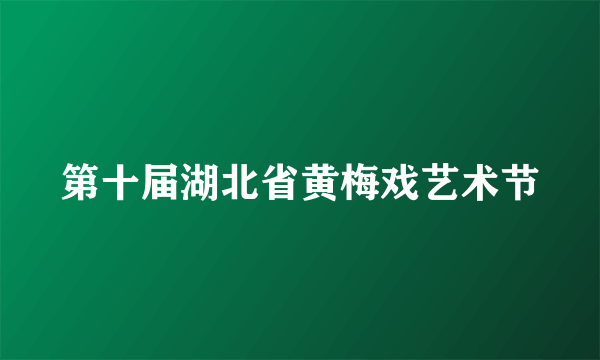 第十届湖北省黄梅戏艺术节