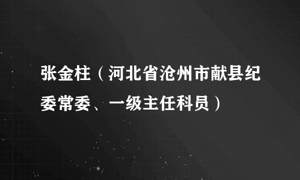张金柱（河北省沧州市献县纪委常委、一级主任科员）