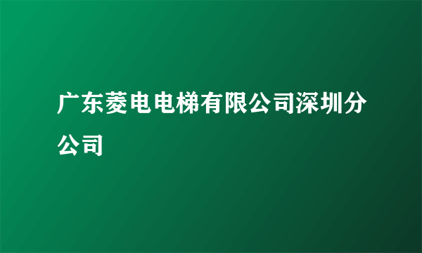 广东菱电电梯有限公司深圳分公司