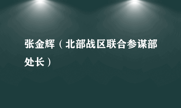 张金辉（北部战区联合参谋部处长）