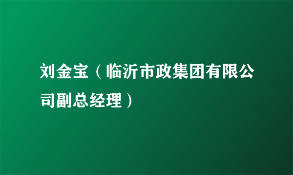 刘金宝（临沂市政集团有限公司副总经理）