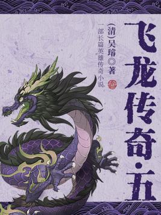 飞龙传奇·五