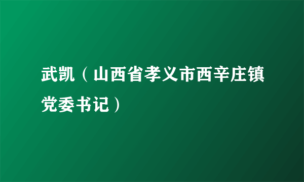 武凯（山西省孝义市西辛庄镇党委书记）
