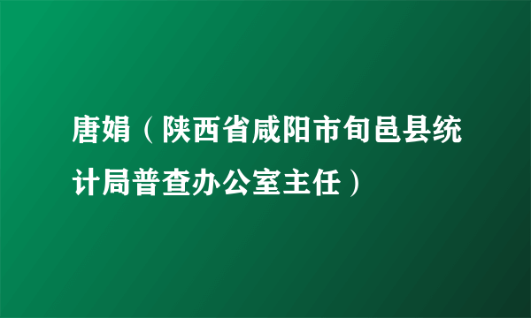 唐娟（陕西省咸阳市旬邑县统计局普查办公室主任）