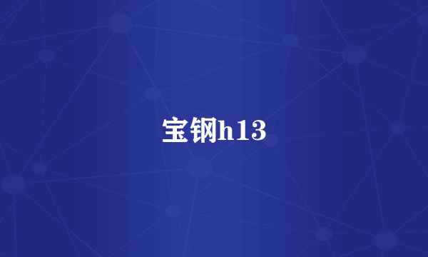 宝钢h13