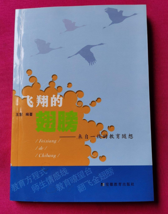 飞翔的翅膀（2008年安徽教育出版社出版的图书）