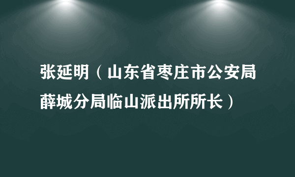 张延明（山东省枣庄市公安局薛城分局临山派出所所长）