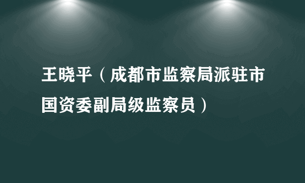 王晓平（成都市监察局派驻市国资委副局级监察员）