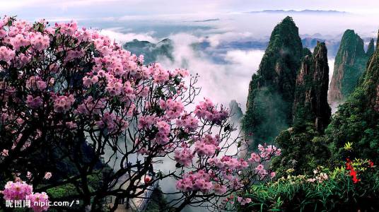 莽山