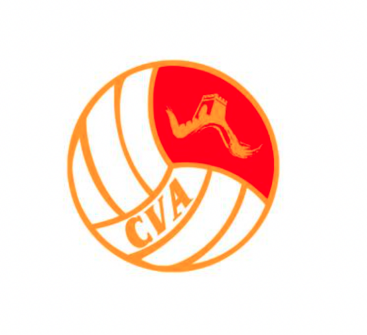 中国排球协会