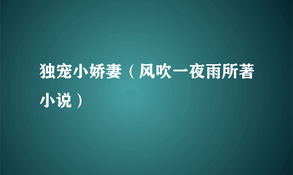 独宠小娇妻（风吹一夜雨所著小说）
