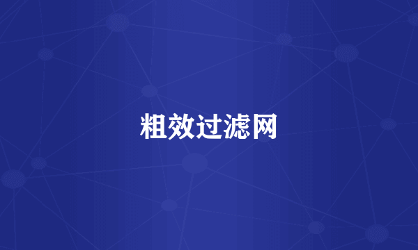 粗效过滤网