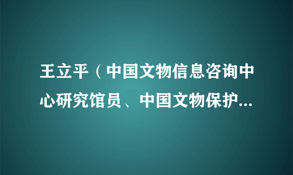 王立平（中国文物信息咨询中心研究馆员、中国文物保护技术协会副监事长、中国文物保护基金会罗哲文基金会副会长）