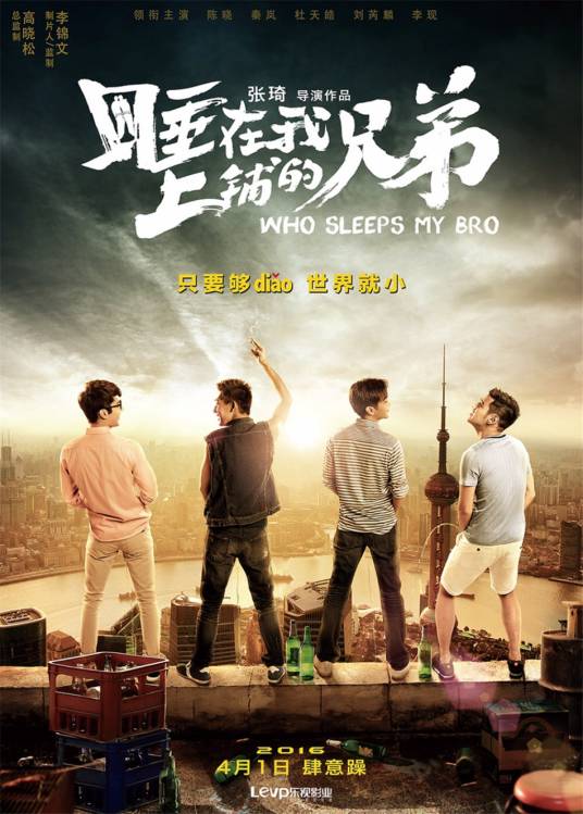 睡在我上铺的兄弟（2016年张琦执导的爱情电影）