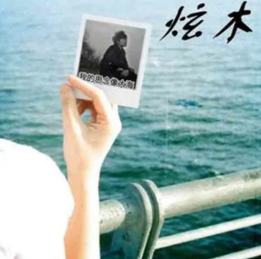 你不配（炫木演唱歌曲）