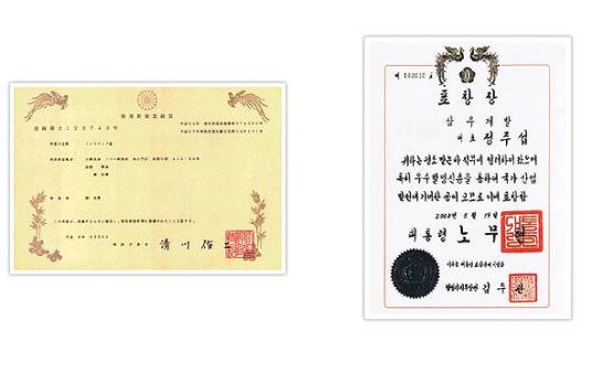 风险企业