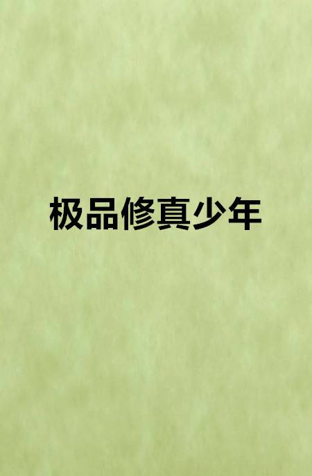 极品修真少年（小说）