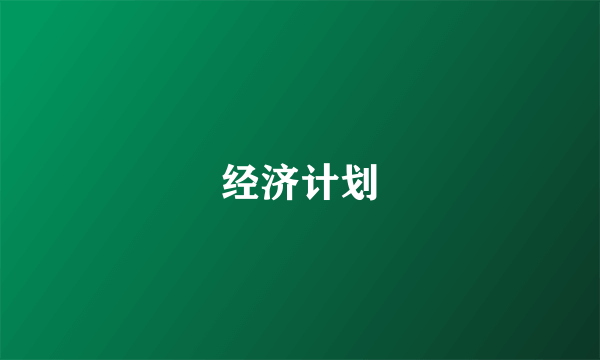经济计划