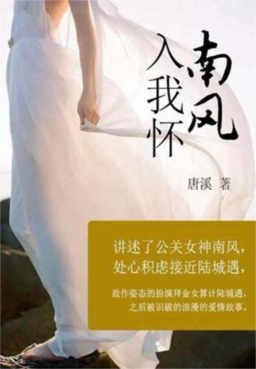 南风入我怀（中国当代小说）