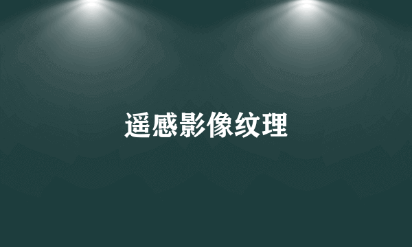 遥感影像纹理