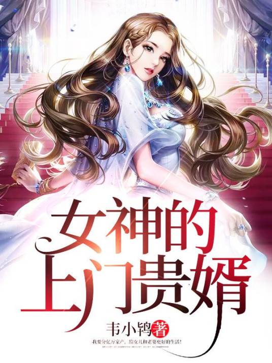女神的上门贵婿（韦小鸨创作的网络小说）