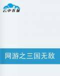 网游之三国无敌