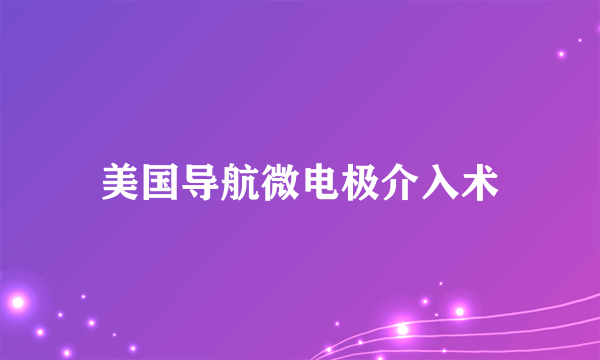 美国导航微电极介入术