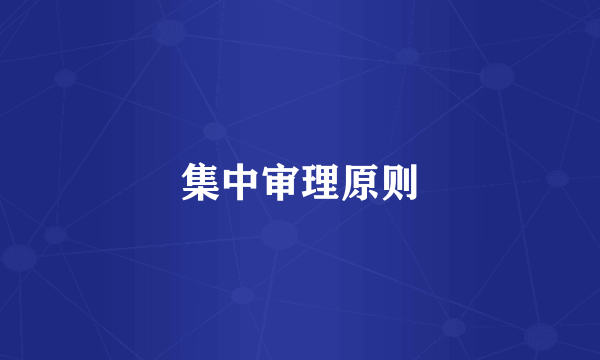 集中审理原则