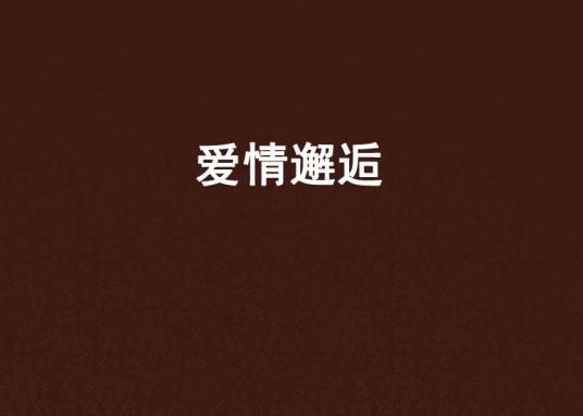 爱情邂逅（都市言情小说）