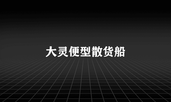 大灵便型散货船