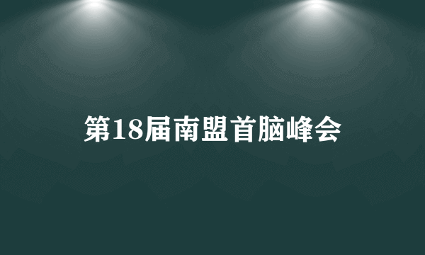 第18届南盟首脑峰会