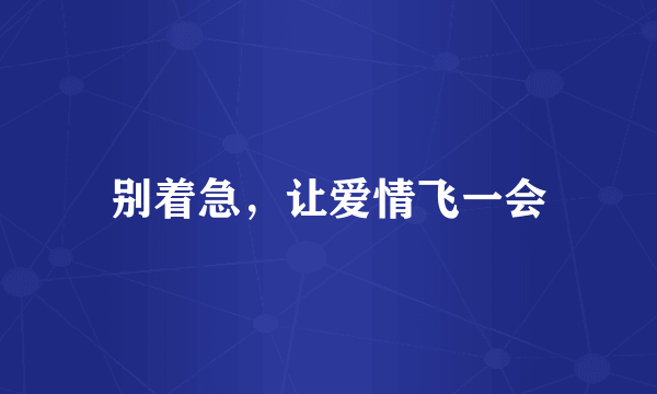别着急，让爱情飞一会