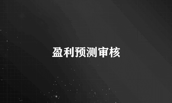 盈利预测审核