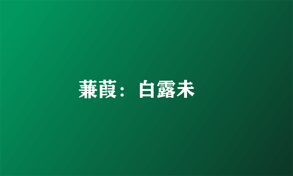 蒹葭：白露未晞