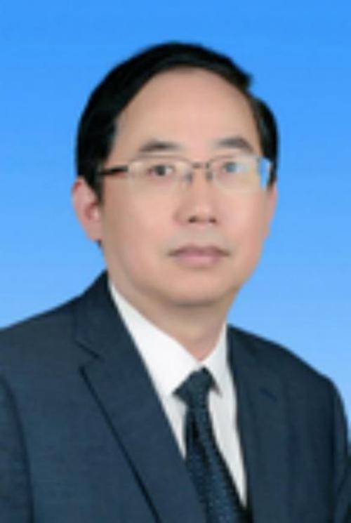 苏勇（合肥工业大学材料学院教授）