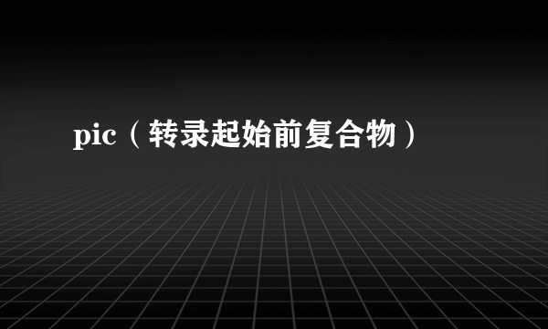 pic（转录起始前复合物）