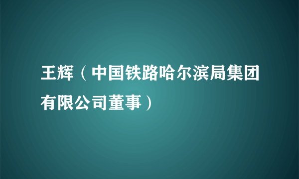 王辉（中国铁路哈尔滨局集团有限公司董事）