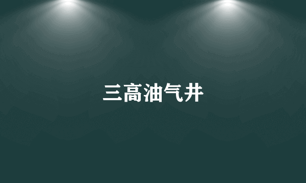 三高油气井