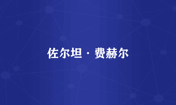 佐尔坦·费赫尔
