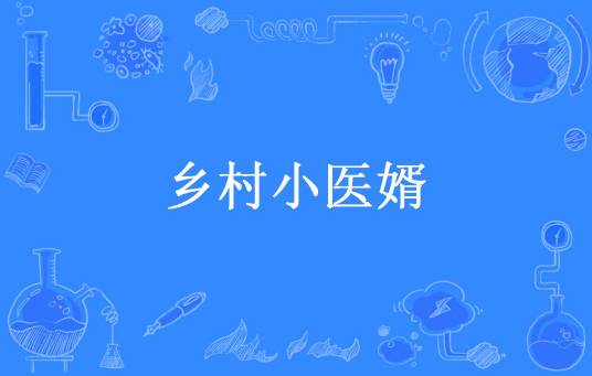 乡村小医婿