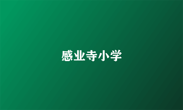 感业寺小学