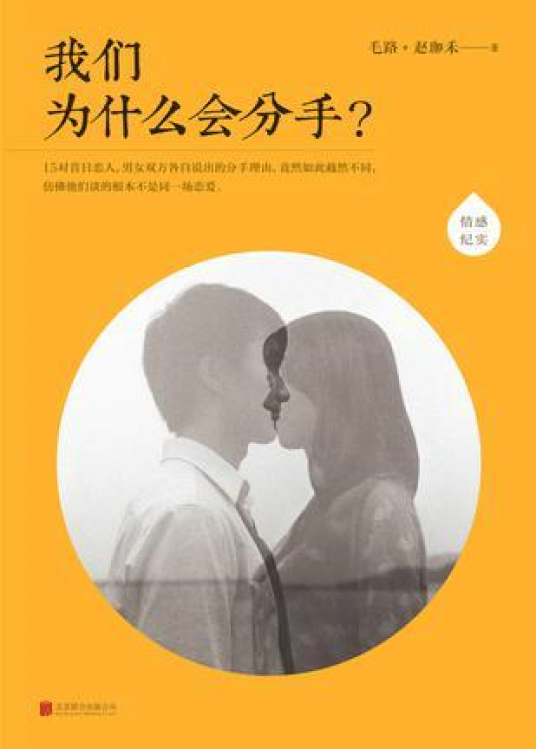 我们为什么会分手（2014年北京联合出版公司出版的图书）