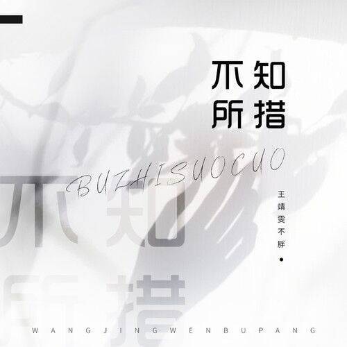不知所措（2020年王靖雯不胖演唱的歌曲）