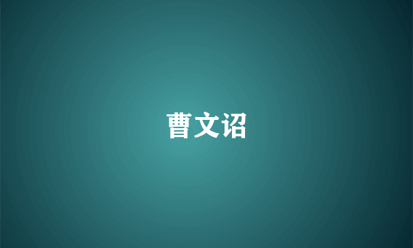 曹文诏