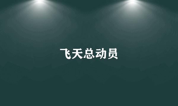 飞天总动员