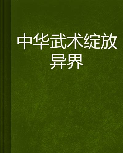 中华武术绽放异界