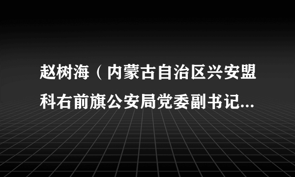 赵树海（内蒙古自治区兴安盟科右前旗公安局党委副书记、政委）