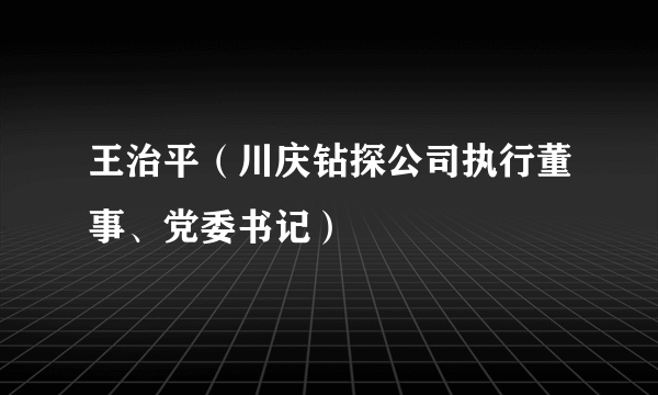 王治平（川庆钻探公司执行董事、党委书记）