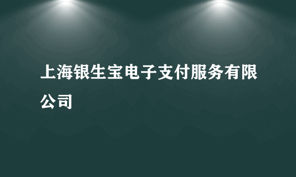 上海银生宝电子支付服务有限公司